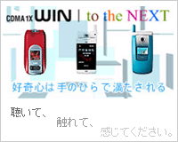 CDMA1X WIN to the NEXT